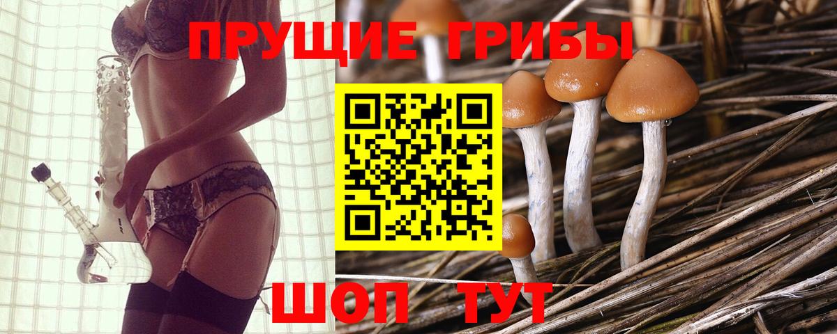 Галлюциногенные грибы мухоморы Медногорск