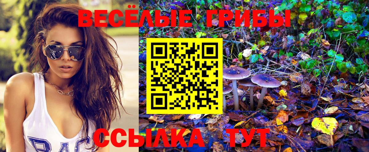 Галлюциногенные грибы GOLDEN TEACHER  Галлюциногенные грибы ЛСД  Вход с VPN  Медногорск 